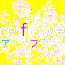 ice flower アイス フラワー　新発売！