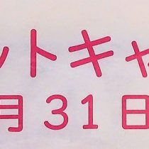 春のベルトキャンペーン開催中！！