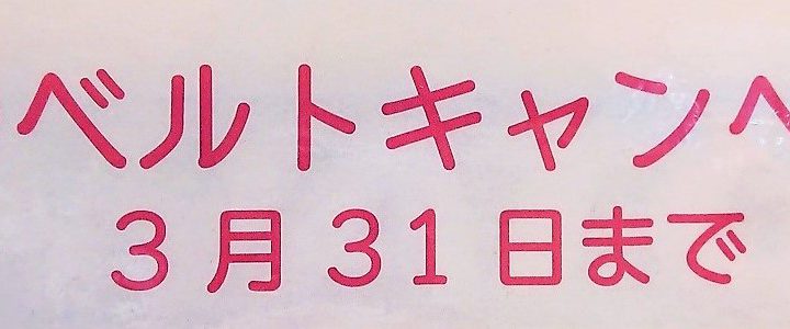 春のベルトキャンペーン開催中！！