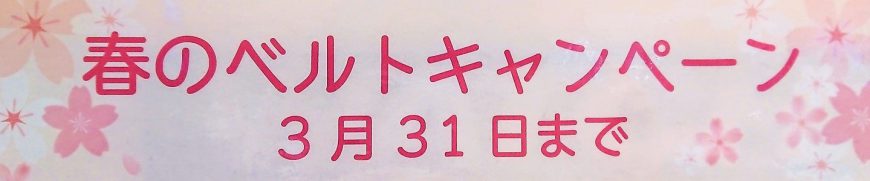 春のベルトキャンペーン開催中！！