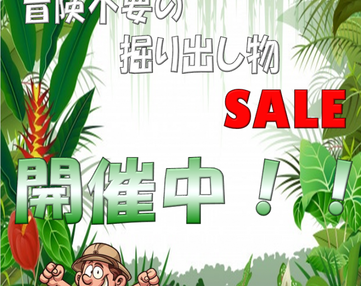 【ウオッチタウンららぽーと新三郷店限定】店長厳選冒険不要の掘り出し物SALE開催中！！