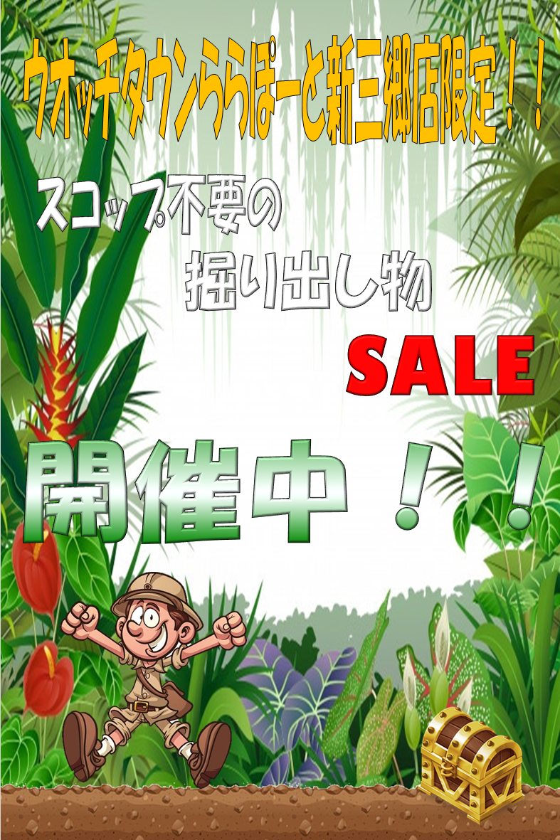 お客様にお手間を取らせません！スコップ不要の掘り出し物商品入荷しました！