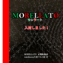 MORELLATO モレラート ベルト入荷