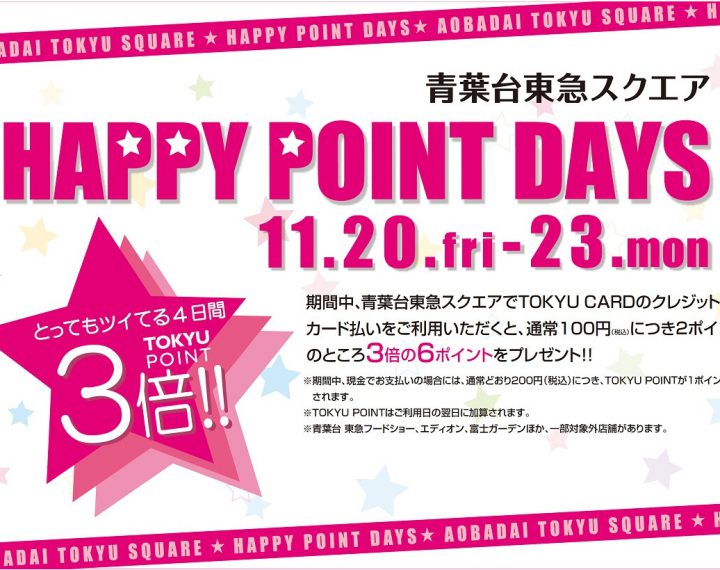 ☆★ HAPPY POINT DAYS! and BLACK FRIDAY!★☆