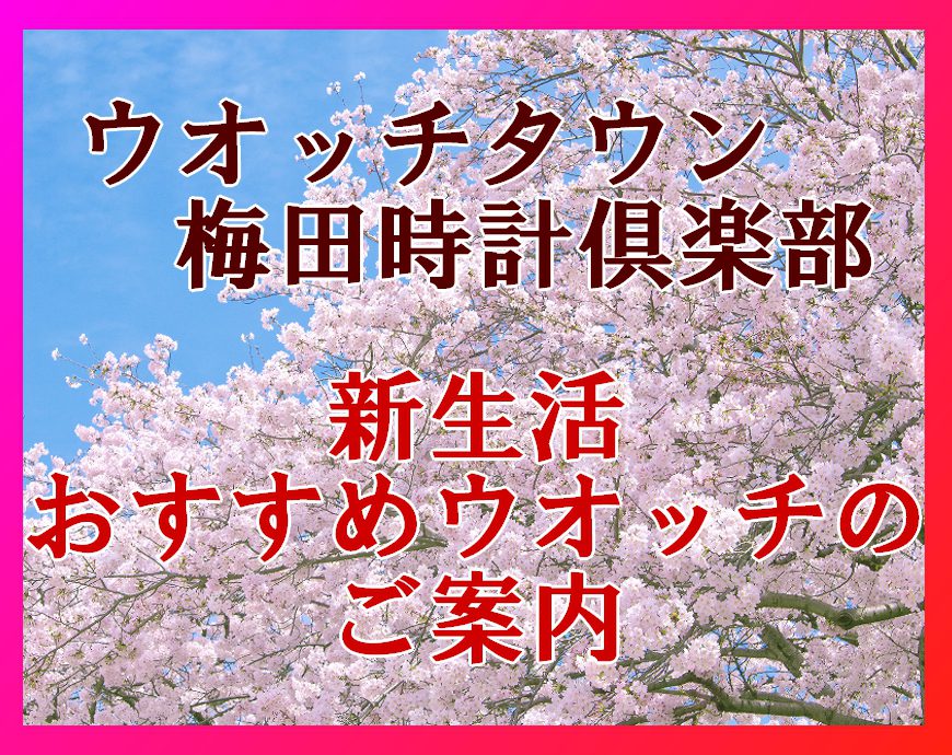 頑張る女性を支える腕時計