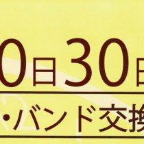 20日は電池交換&バンド交換デー♪