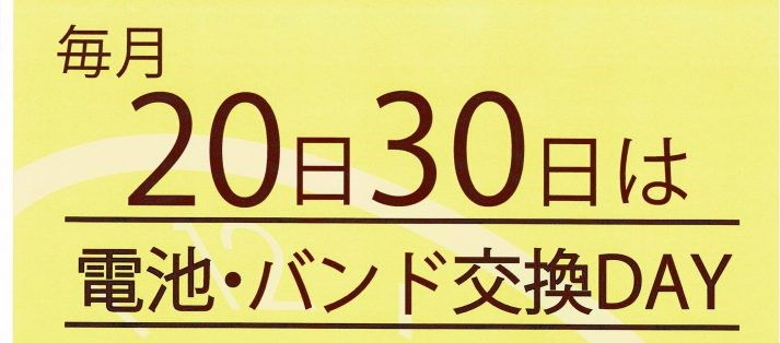 20日は電池交換&バンド交換デー♪