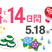 マルコとマルオの１４日間開催！！