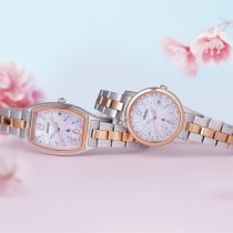 2023 SAKURA Blooming
