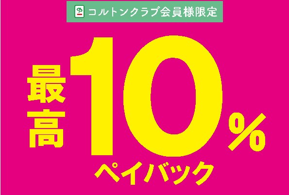 ペイバックについて紹介。